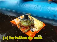 /home//u458753944/public_html/sourcegallery//////Frogs/Bullfrogs 2016-08 Ontario/P8140139.JPG